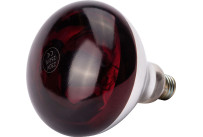 Infrarotlampe Rot