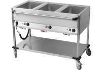 Fahrbares Wasserbad 3 Becken