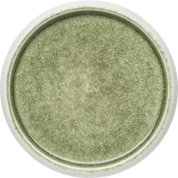 Porzellan Serie "Samoa" grün Teller flach Ø19cm