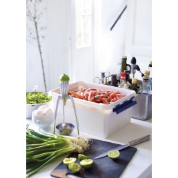 Box "Robust" 15 L, 40x30x19cm