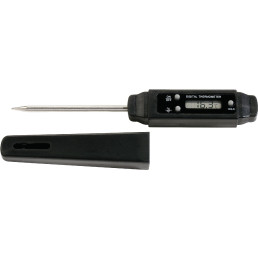 Digitales Einstech-Thermometer