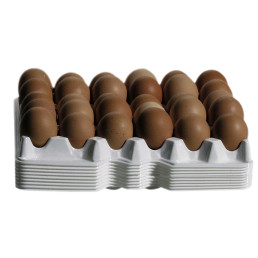 Ersatztablett für Eierbox