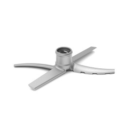 Moussier-Flügel Silver Dancer