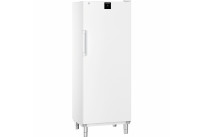 Kühl- / Lagerschrank Gastronomie 655,00 l Umluftkühlung