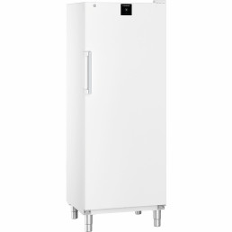 Kühl- / Lagerschrank Gastronomie 655,00 l Umluftkühlung