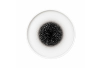 Good Mood, Teller flach ø 161 mm intense spotted black