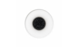 Good Mood, Teller flach ø 209 mm intense spotted black