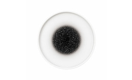 Good Mood, Teller flach ø 161 mm intense spotted black