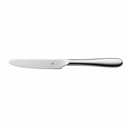 Sara, Menümesser Monoblock 225 mm poliert